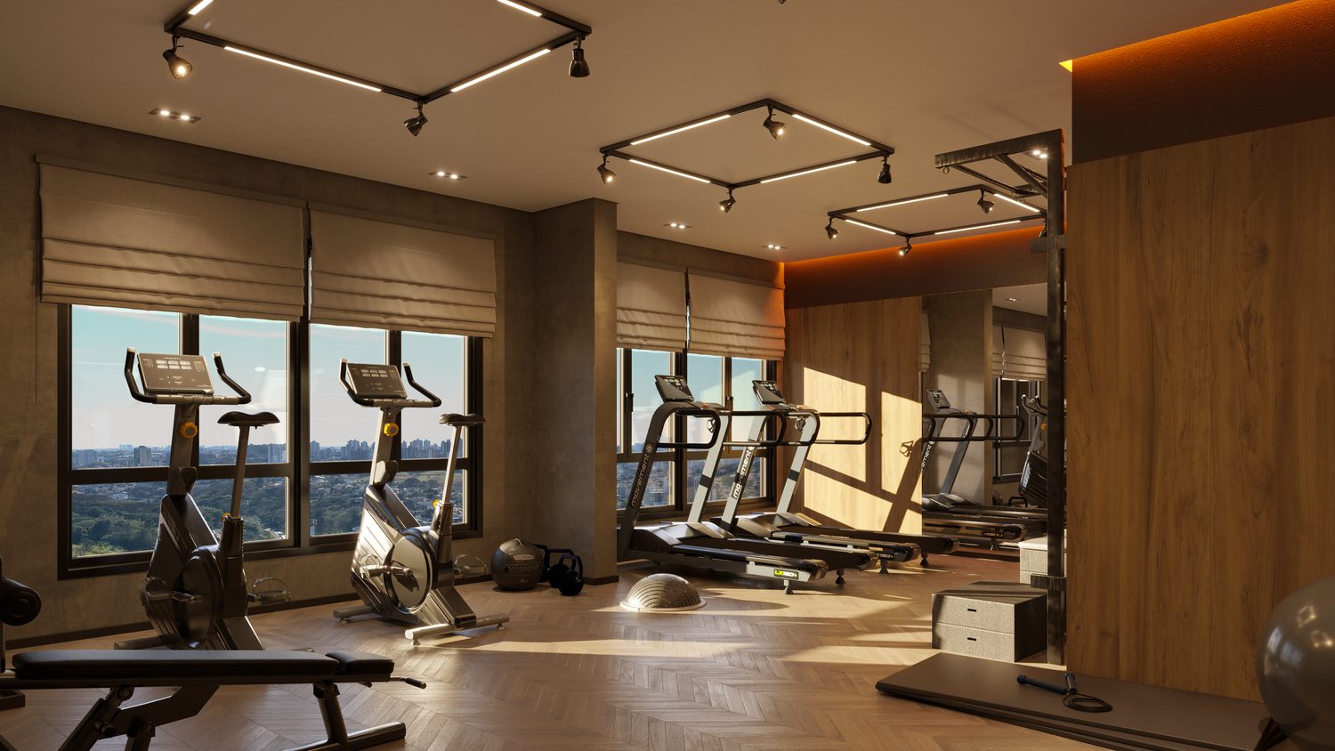 Academia